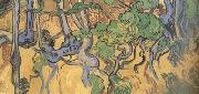 Vincent Van Gogh, Tree Root and Trunks (nn04)